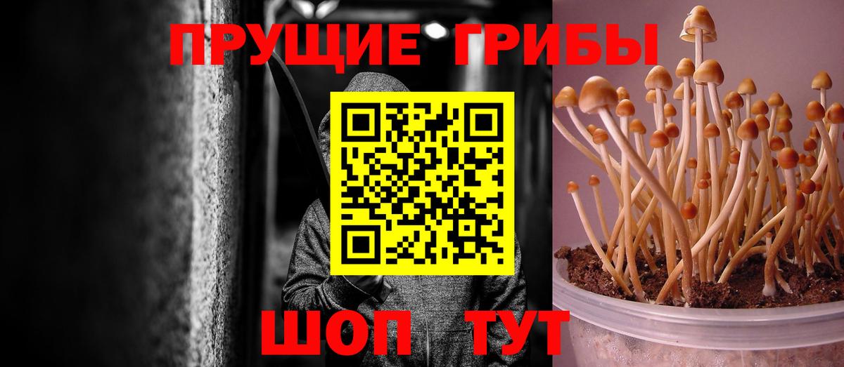Псилоцибиновые грибы мухоморы Углич