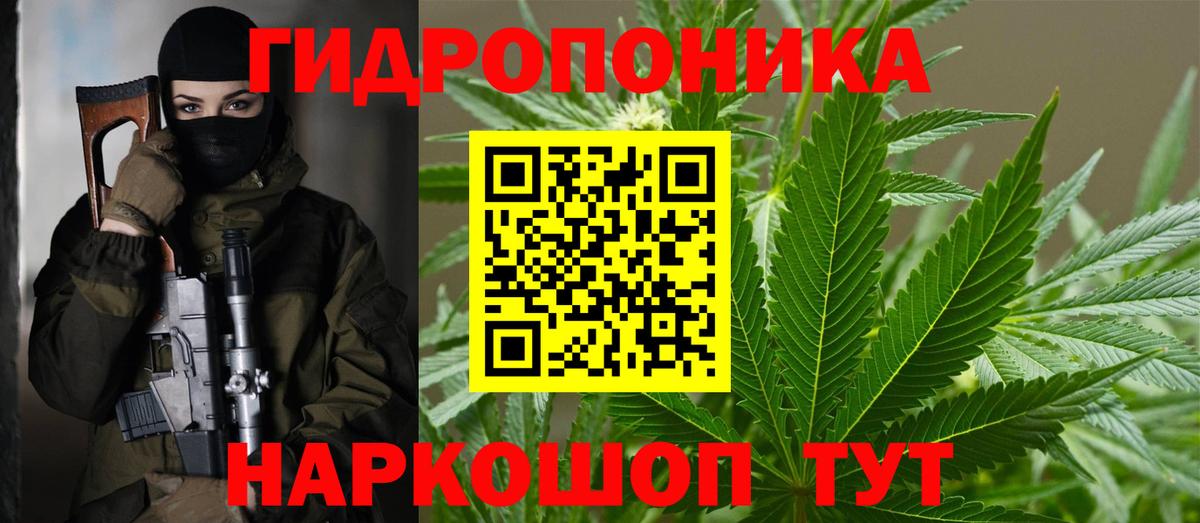 Конопля SATIVA & INDICA  МАРИХУАНА конопля  Углич  Марихуана THC 21%  Вход с VPN 